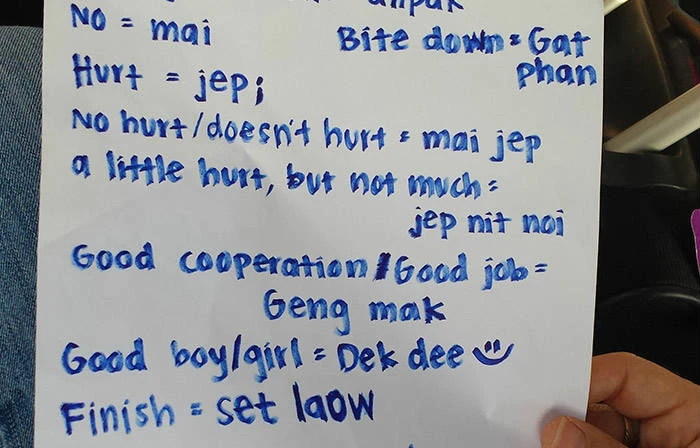 humanitarian-work gallery