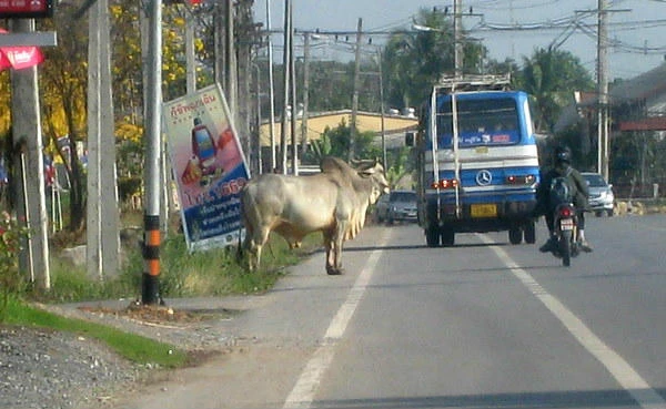 humanitarian-work gallery